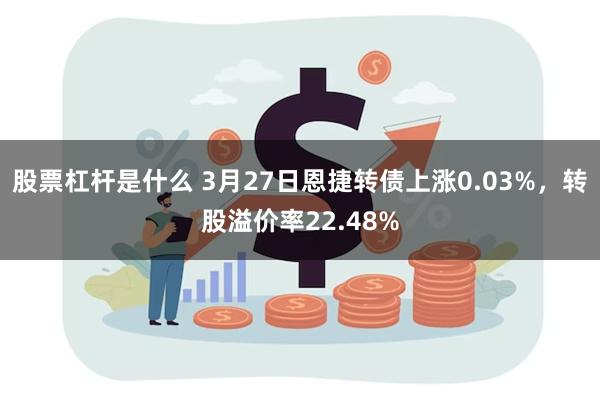 股票杠杆是什么 3月27日恩捷转债上涨0.03%，转股溢价率22.48%