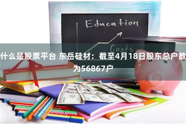 什么是股票平台 东岳硅材：截至4月18日股东总户数为56867户