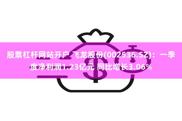 股票杠杆网站开户 飞龙股份(002536.SZ)：一季度净利润1.23亿元 同比增长3.06%