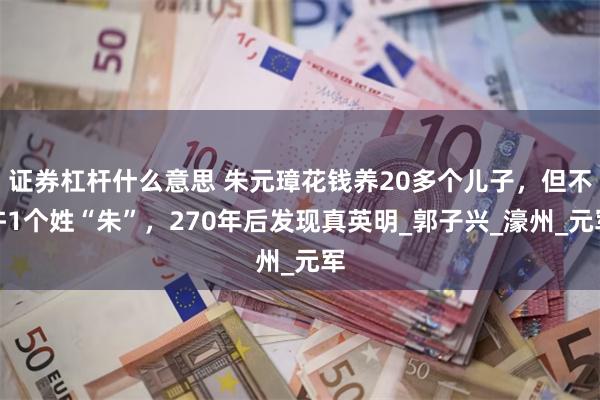 证券杠杆什么意思 朱元璋花钱养20多个儿子，但不许1个姓“朱”，270年后发现真英明_郭子兴_濠州_元军
