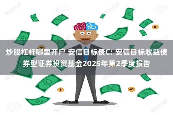 炒股杠杆哪里开户 安信目标债C: 安信目标收益债券型证券投资基金2025年第2季度报告