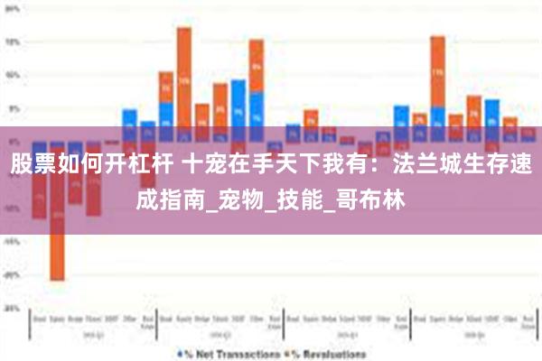 股票如何开杠杆 十宠在手天下我有：法兰城生存速成指南_宠物_技能_哥布林