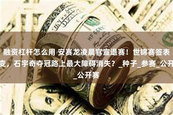融资杠杆怎么用 安赛龙凌晨官宣退赛！世锦赛签表突变，石宇奇夺冠路上最大障碍消失？_种子_参赛_公开赛