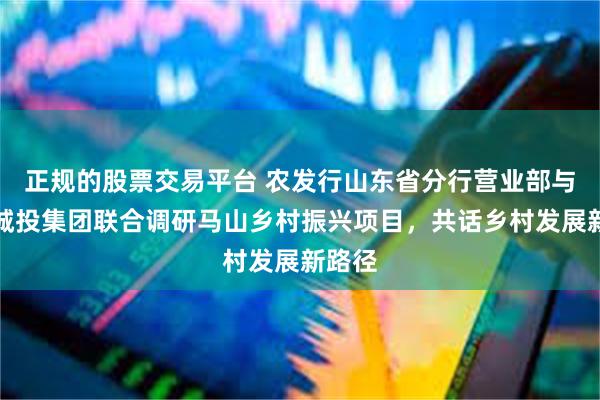 正规的股票交易平台 农发行山东省分行营业部与济南城投集团联合调研马山乡村振兴项目，共话乡村发展新路径