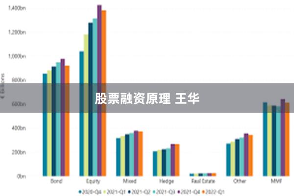 股票融资原理 王华