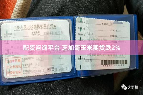 配资咨询平台 芝加哥玉米期货跌2%