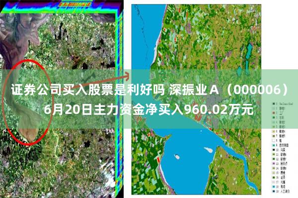 证券公司买入股票是利好吗 深振业Ａ（000006）6月20日主力资金净买入960.02万元