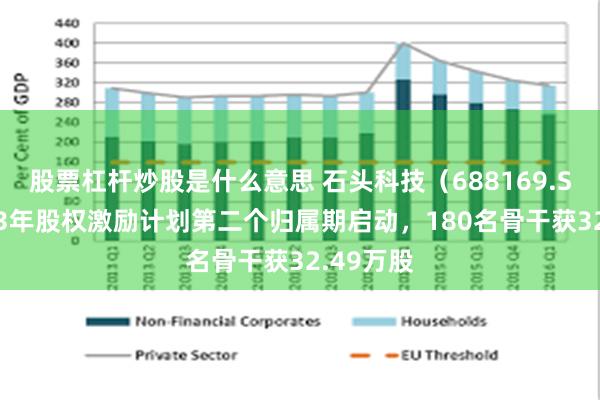 股票杠杆炒股是什么意思 石头科技（688169.SH）2023年股权激励计划第二个归属期启动，180名骨干获32.49万股
