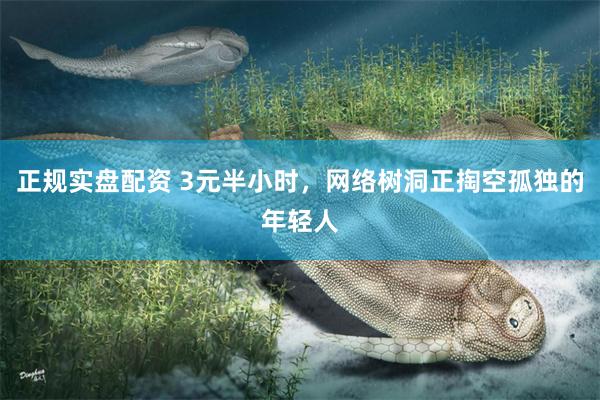 正规实盘配资 3元半小时，网络树洞正掏空孤独的年轻人