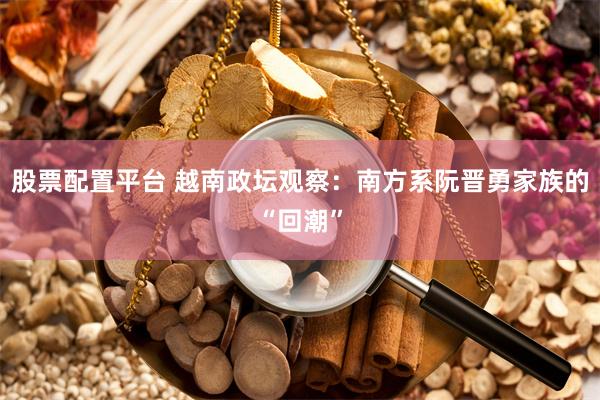 股票配置平台 越南政坛观察：南方系阮晋勇家族的“回潮”