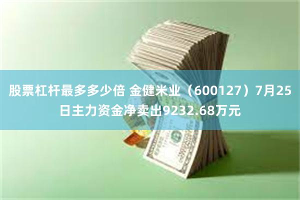 股票杠杆最多多少倍 金健米业（600127）7月25日主力资金净卖出9232.68万元