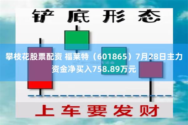 攀枝花股票配资 福莱特（601865）7月28日主力资金净买入758.89万元