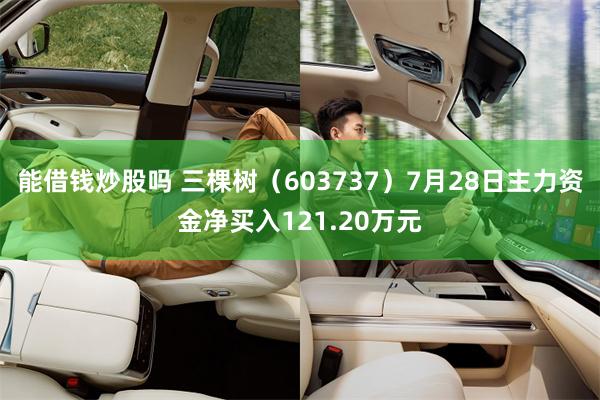 能借钱炒股吗 三棵树（603737）7月28日主力资金净买入121.20万元