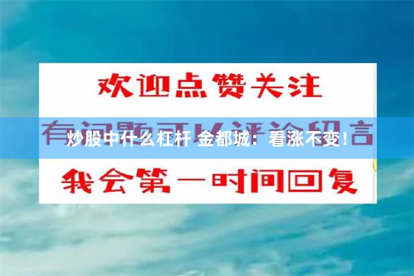 炒股中什么杠杆 金都城：看涨不变！