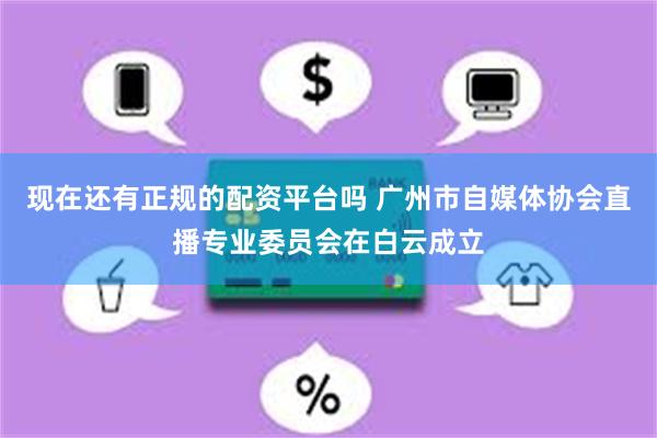 现在还有正规的配资平台吗 广州市自媒体协会直播专业委员会在白云成立