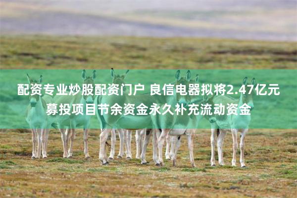配资专业炒股配资门户 良信电器拟将2.47亿元募投项目节余资金永久补充流动资金
