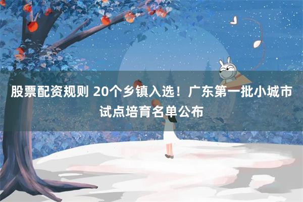 股票配资规则 20个乡镇入选！广东第一批小城市试点培育名单公布