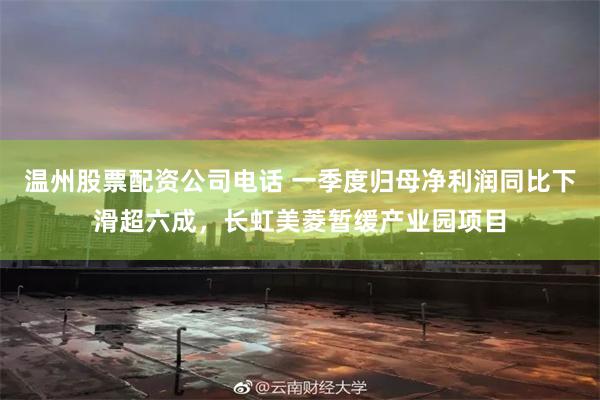温州股票配资公司电话 一季度归母净利润同比下滑超六成，长虹美菱暂缓产业园项目